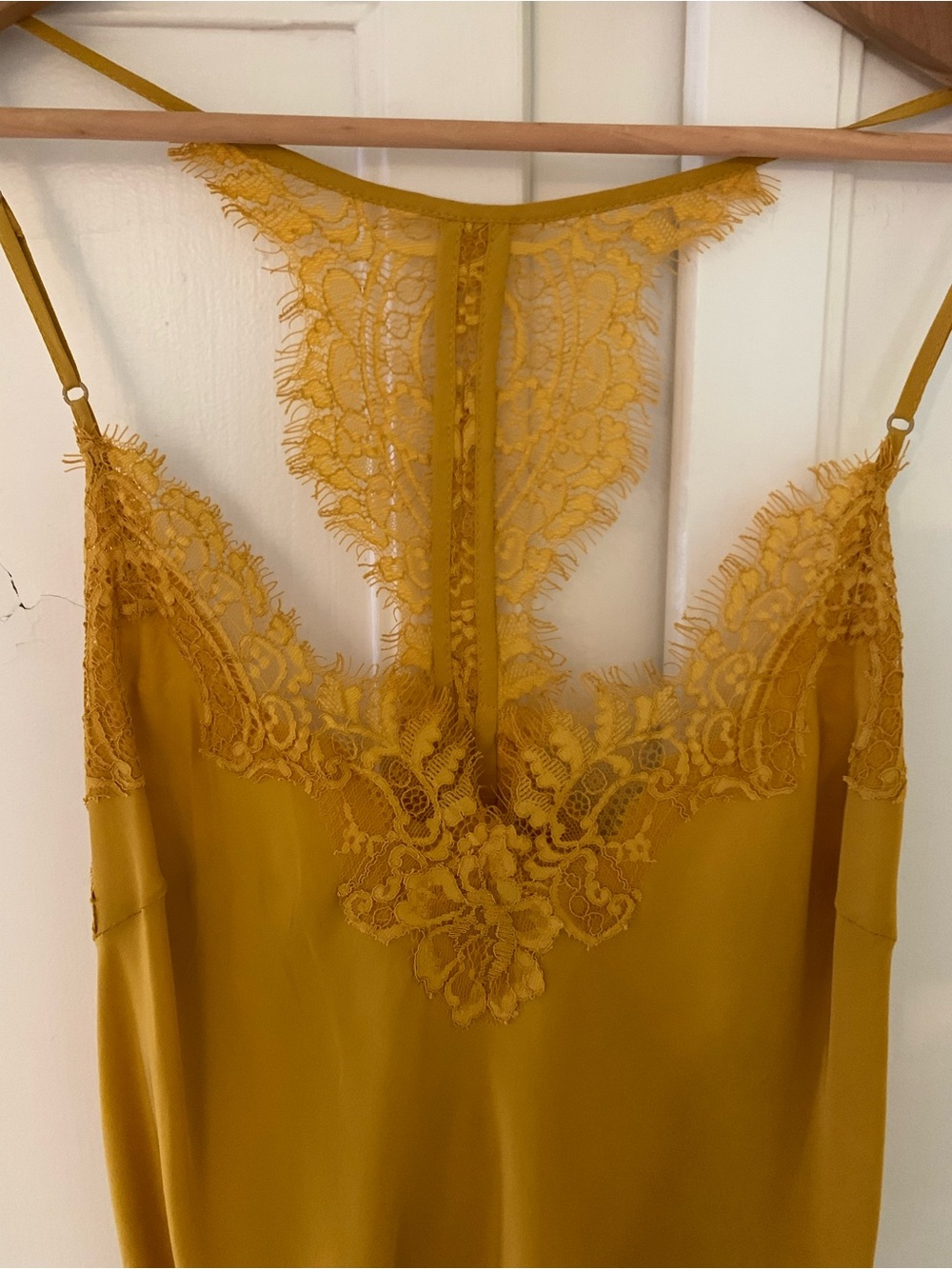 NWT Gold Hawk Silk Slip w/ Lace